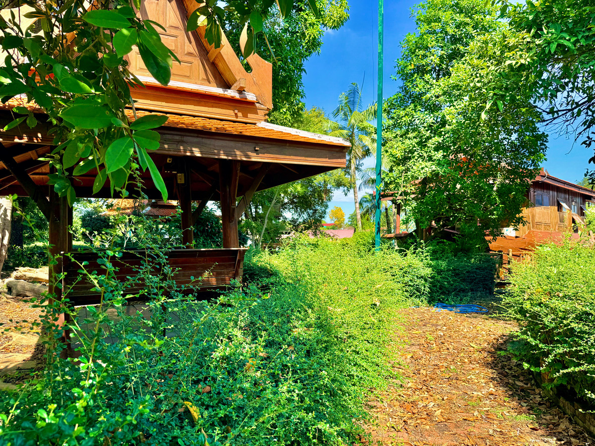 ให้เช่าบ้านอยุธยา : ให้เช่า บ้านทรงไทยริมแม่น้ำเจ้าพระยา อ.เมือง อยุธยา