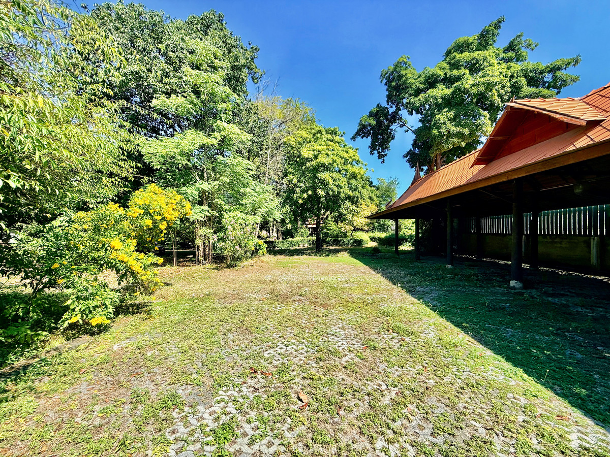 ให้เช่าบ้านอยุธยา : ให้เช่า บ้านทรงไทยริมแม่น้ำเจ้าพระยา อ.เมือง อยุธยา