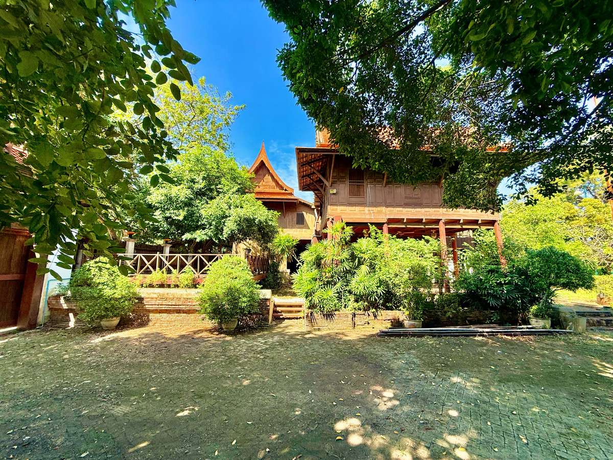 ให้เช่าบ้านอยุธยา : ให้เช่า บ้านทรงไทยริมแม่น้ำเจ้าพระยา อ.เมือง อยุธยา