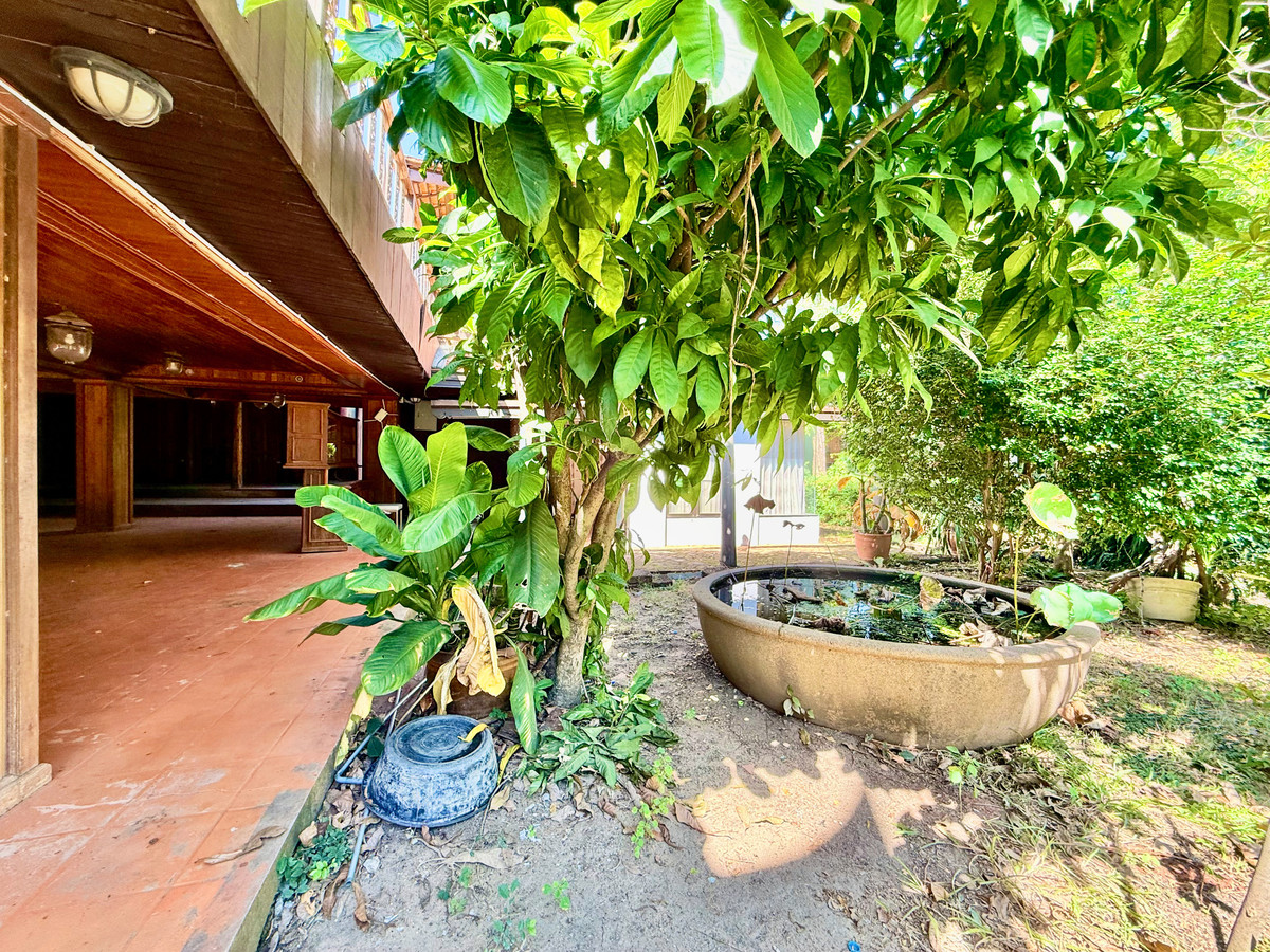 ให้เช่าบ้านอยุธยา : ให้เช่า บ้านทรงไทยริมแม่น้ำเจ้าพระยา อ.เมือง อยุธยา