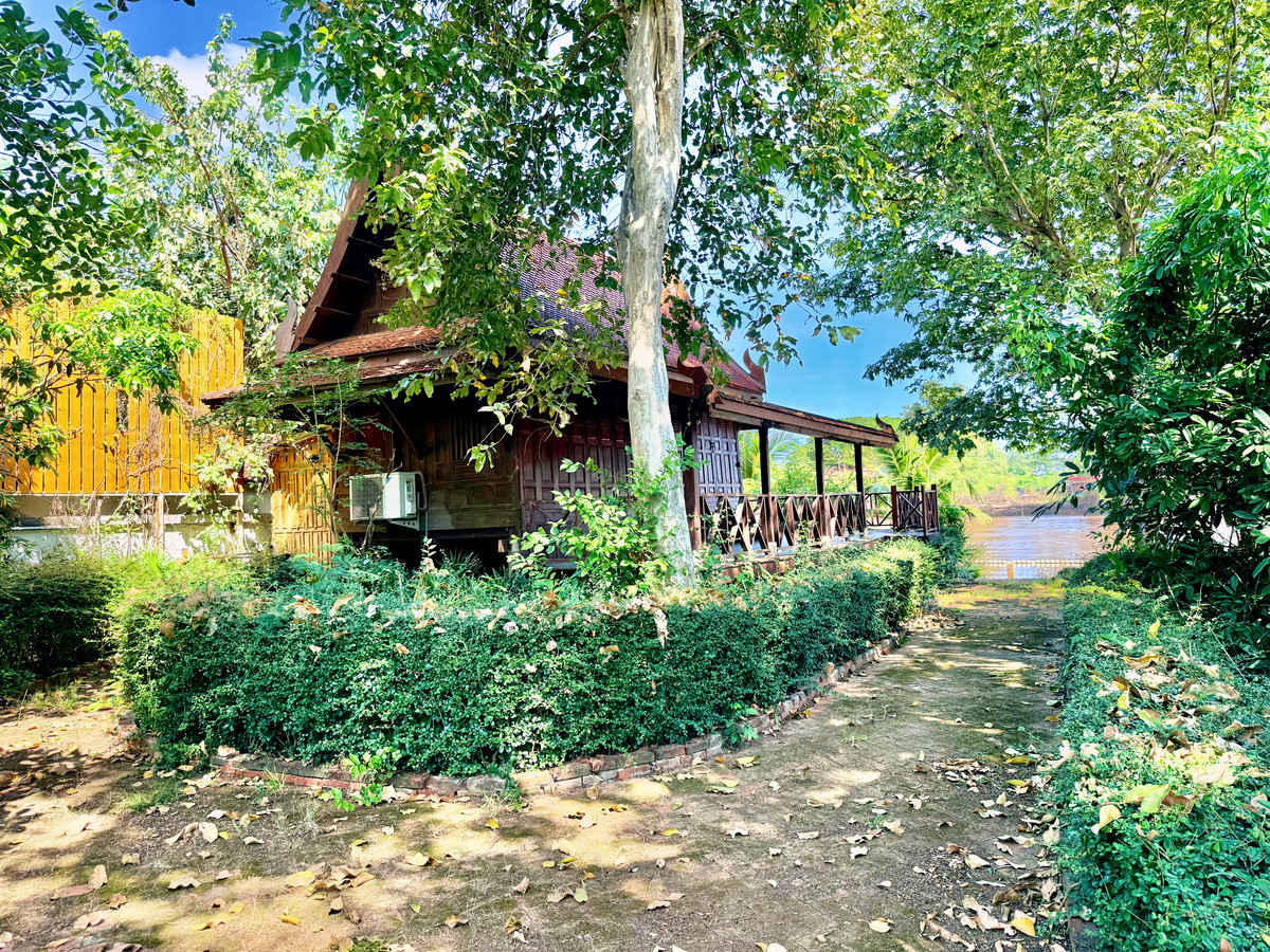 ให้เช่าบ้านอยุธยา : ให้เช่า บ้านทรงไทยริมแม่น้ำเจ้าพระยา อ.เมือง อยุธยา