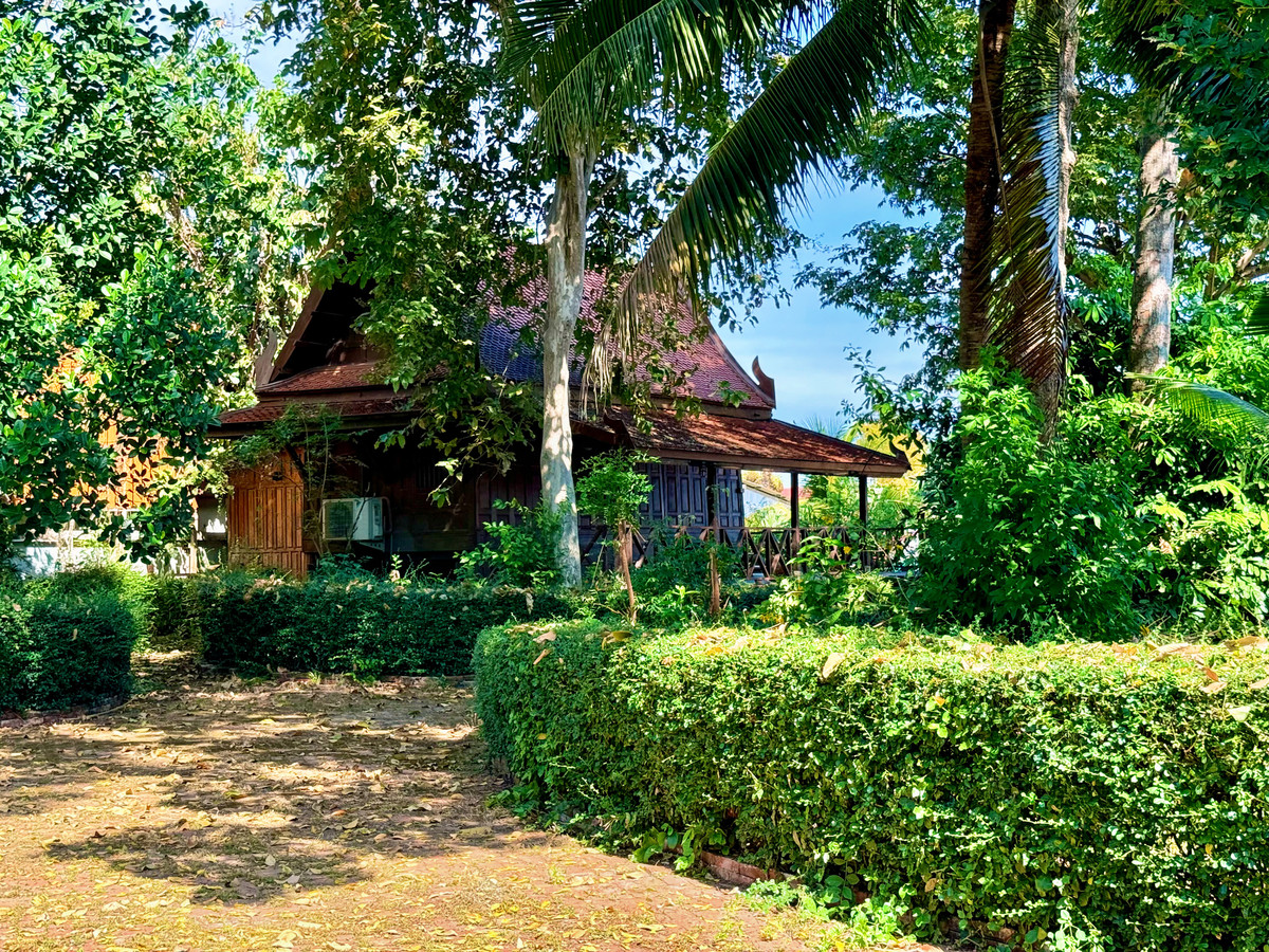 ให้เช่าบ้านอยุธยา : ให้เช่า บ้านทรงไทยริมแม่น้ำเจ้าพระยา อ.เมือง อยุธยา