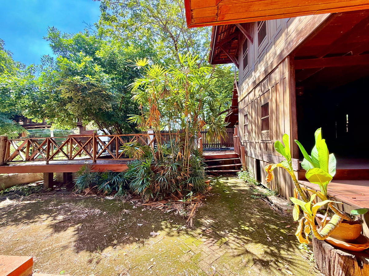 ให้เช่าบ้านอยุธยา : ให้เช่า บ้านทรงไทยริมแม่น้ำเจ้าพระยา อ.เมือง อยุธยา