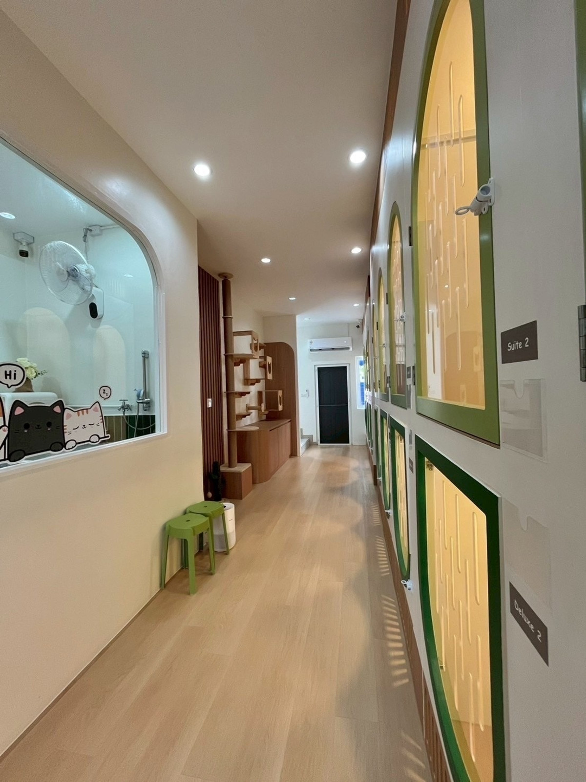 เซ้งสะพานควาย จตุจักร : เซ้งโรงแรมแมว + อาบน้ำ-ตัดขน ลาดพร้าว 41 มีอุปกรณ์ครบพร้อมเปิด พร้อมแบรนด์