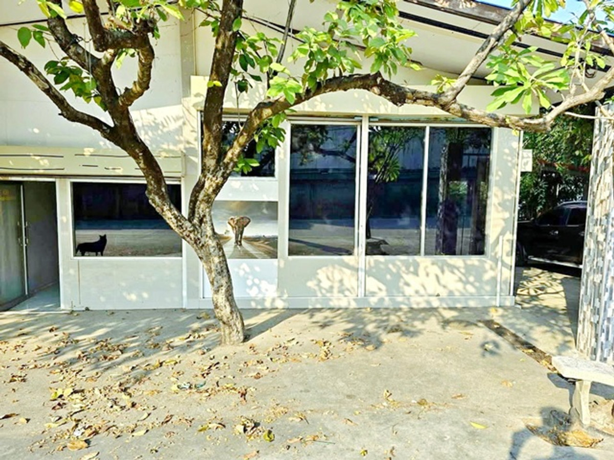 ให้เช่าบ้านพุทธมณฑล ศาลายา : ไร่ขิง สามพราน ตลาดน้ำดอนหวาย 1.5กม. เซ็นทรัล ศาลายา 3.2 กม. ให้เช่าตัวอาคาร หน้ากว้าง 25ตร.วา. 100ตร.ม. 2 นอน ม.มหิดล ศาลายา 5 กม