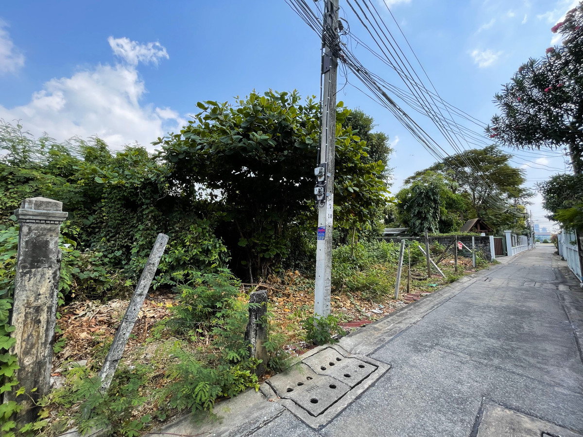 ขายที่ดินวงเวียนใหญ่ เจริญนคร : ขาย ที่ดิน 50 ตรว ใกล้แม่น้ำเจ้าพระยา ทำเลดี เจริญนคร 59 เหมาะปลูกบ้านพักอาศัยส่วนตัว