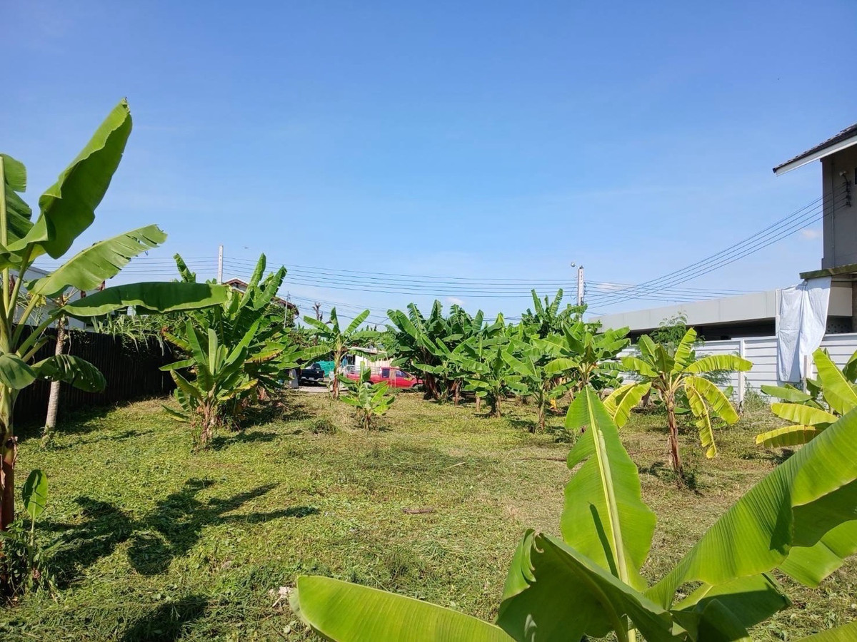 For SaleLandPattanakan, Srinakarin : Land for Sale Phatthanakan | 191 sq.w | Prime Residential Area Near Srinakarin – On Nut
