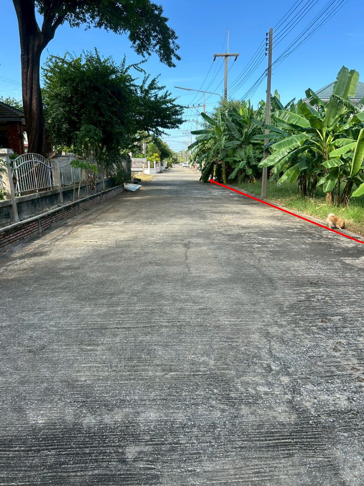 ขายที่ดินปทุมธานี รังสิต ธรรมศาสตร์ : ขายที่ดินราคาถูก ต่ำกว่าราคาประเมินราชการ ที่ดินถมแล้ว 70 ตรว. ในหมู่บ้าน มณีรินทร์ เลค & ลากูน ต.บ้านกลาง อ.เมืองปทุมธานี จ.ปทุมธานี ราคา 1,855,000 บาท