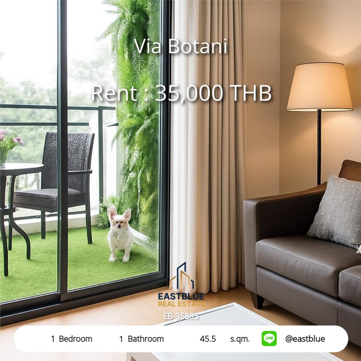 ให้เช่าคอนโดสุขุมวิท อโศก ทองหล่อ : 🌟 ให้เช่าคอนโด Via Botani 1 ห้องนอน ใจกลางทองหล่อ 45.5 ตร.ม. 
เพียง 35,000 บาท/เดือน พร้อมสิ่งอำนวยความสะดวกครบครัน!