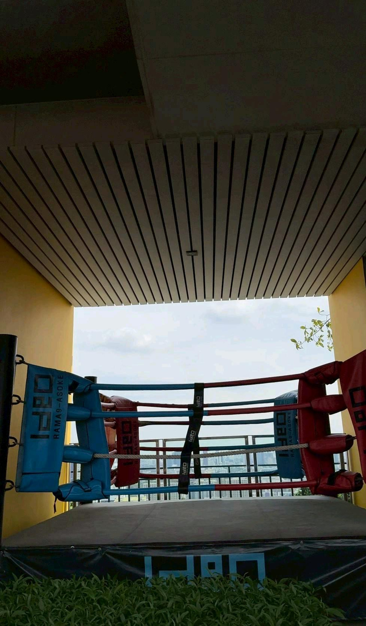 ให้เช่าคอนโดพระราม 9 เพชรบุรีตัดใหม่ RCA : ✨ Duplex ห้องสวย เพดานสูง วิวแยกพระราม 9 ทำเลศักยภาพ ใจกลางเมือง ✨