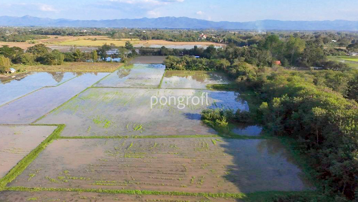 ขายที่ดินเชียงใหม่ : ขายที่ดินเชียงใหม่ 8 ไร่ 3 งาน 73 ตร.ว. (ขายรวม 3 แปลง) ตำบลสันกำแพง อำเภอสันกำแพง จังหวัดเชียงใหม่