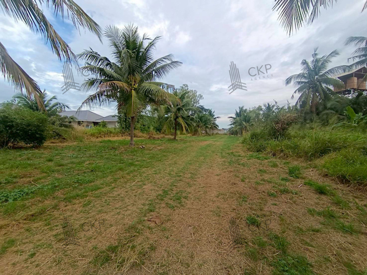 For SaleLandHuahin, Prachuap Khiri Khan, Pran Buri : Vacant land for sale in Nong Khon, near Soi Mon Mai, not far from tourist attractions and Hua Hin Airport.