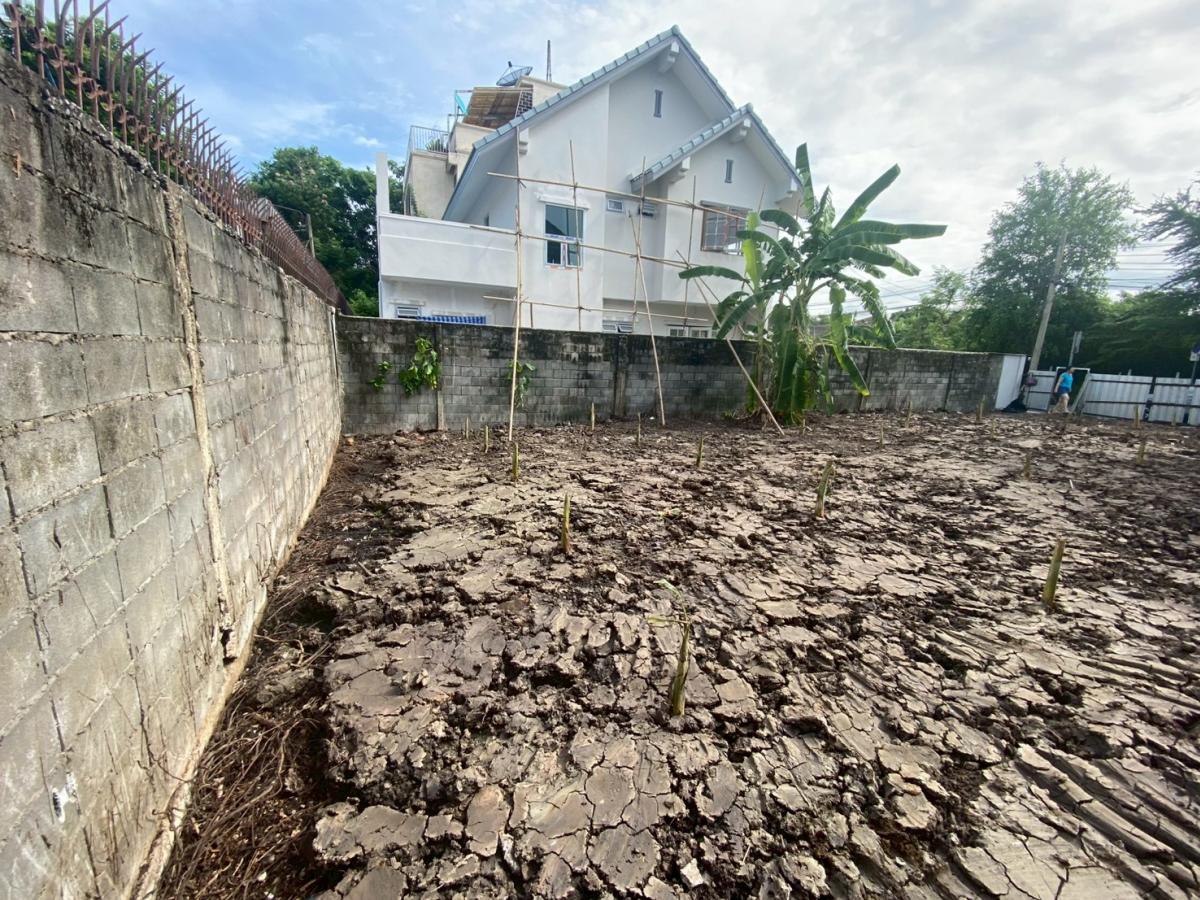 ขายที่ดินบางซื่อ วงศ์สว่าง เตาปูน : 28/02/2026, ที่ดิน 68 ตร.วา ใจกลางบางซื่อ หน้ากว้าง 11 ม. ใกล้ตลาดบองมาเช่-จตุจักร ลงทุนหรือปลูกบ้านในฝันได้เลย!