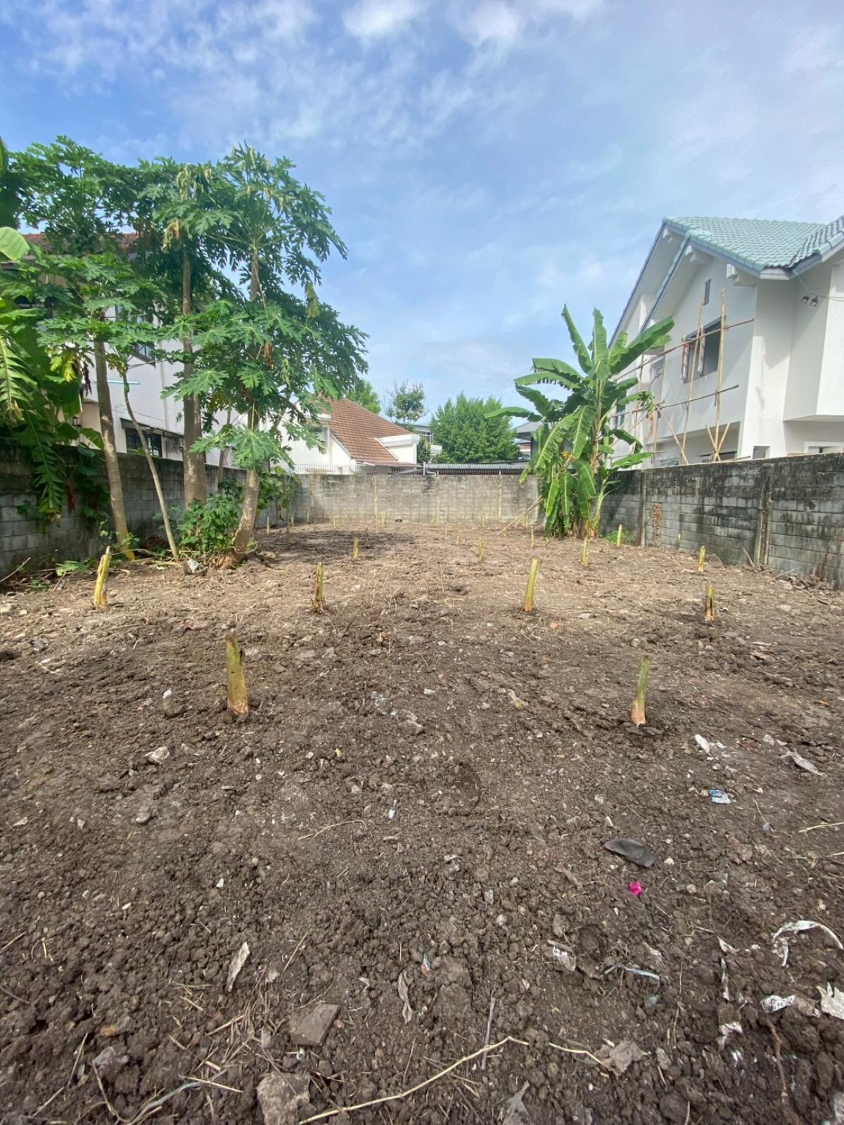 ขายที่ดินบางซื่อ วงศ์สว่าง เตาปูน : 28/02/2026, ที่ดิน 68 ตร.วา ใจกลางบางซื่อ หน้ากว้าง 11 ม. ใกล้ตลาดบองมาเช่-จตุจักร ลงทุนหรือปลูกบ้านในฝันได้เลย!