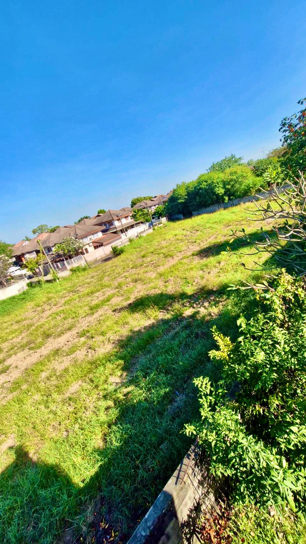 ขายที่ดินสระบุรี : ขายที่ดิน 1-2-31 ไร่ ริมแม่น้ำป่าสัก อ.เมือง สระบุรี