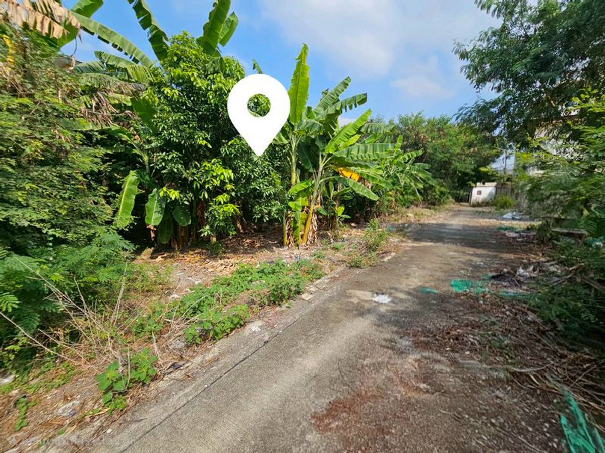 ขายที่ดินบางแค เพชรเกษม : ขาย ที่ดินเปล่า 205 ตารางวา ถมแล้ว ถนนบางบอน 5 สายเดิม ตรงข้ามศาลเจ้าจีน เจ้าแม่กวนอิม แขวงหนองแขม เขตหนองแขม กรุงเทพมหานคร