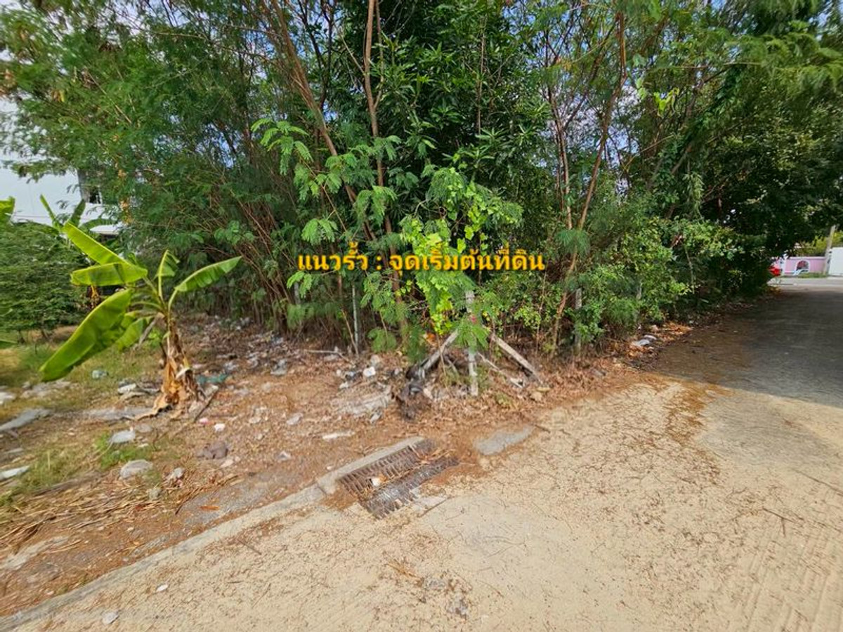 ขายที่ดินบางแค เพชรเกษม : ขาย ที่ดินเปล่า 205 ตารางวา ถมแล้ว ถนนบางบอน 5 สายเดิม ตรงข้ามศาลเจ้าจีน เจ้าแม่กวนอิม แขวงหนองแขม เขตหนองแขม กรุงเทพมหานคร