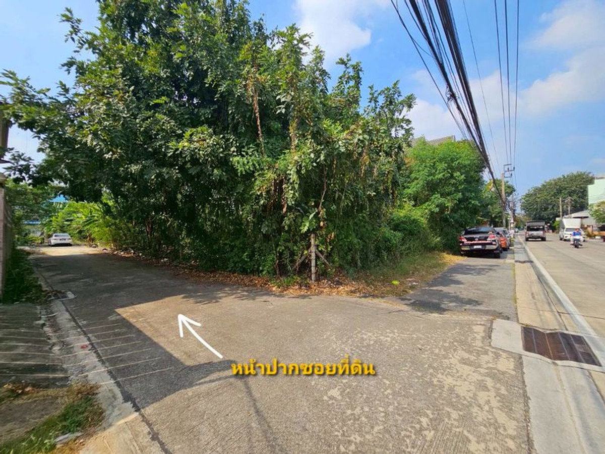 ขายที่ดินบางแค เพชรเกษม : ขาย ที่ดินเปล่า 205 ตารางวา ถมแล้ว ถนนบางบอน 5 สายเดิม ตรงข้ามศาลเจ้าจีน เจ้าแม่กวนอิม แขวงหนองแขม เขตหนองแขม กรุงเทพมหานคร