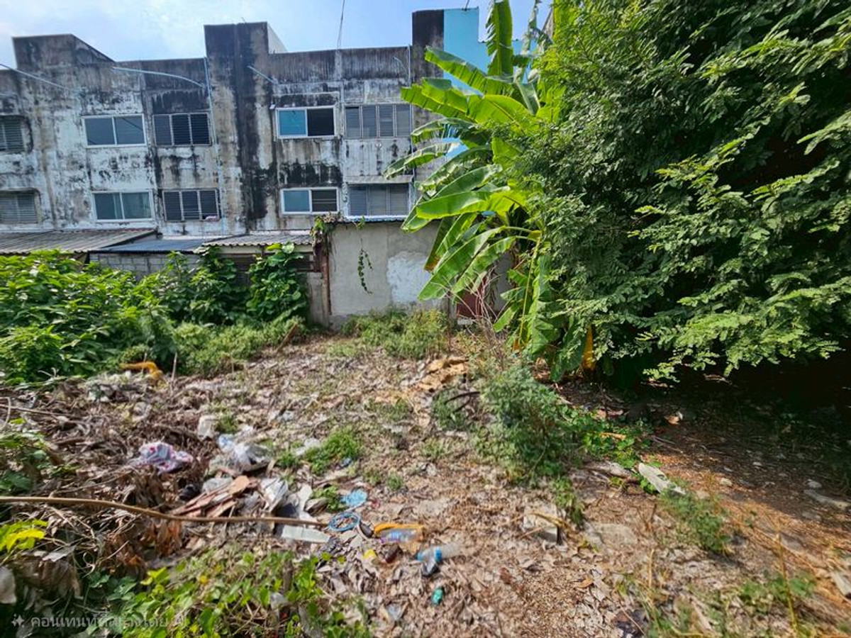 ขายที่ดินบางแค เพชรเกษม : ขาย ที่ดินเปล่า 100 ตารางวา ถนนบางบอน 5 สายเดิม ตรงข้ามศาลเจ้าจีน เจ้าแม่กวนอิม แขวงหนองแขม เขตหนองแขม กรุงเทพมหานคร