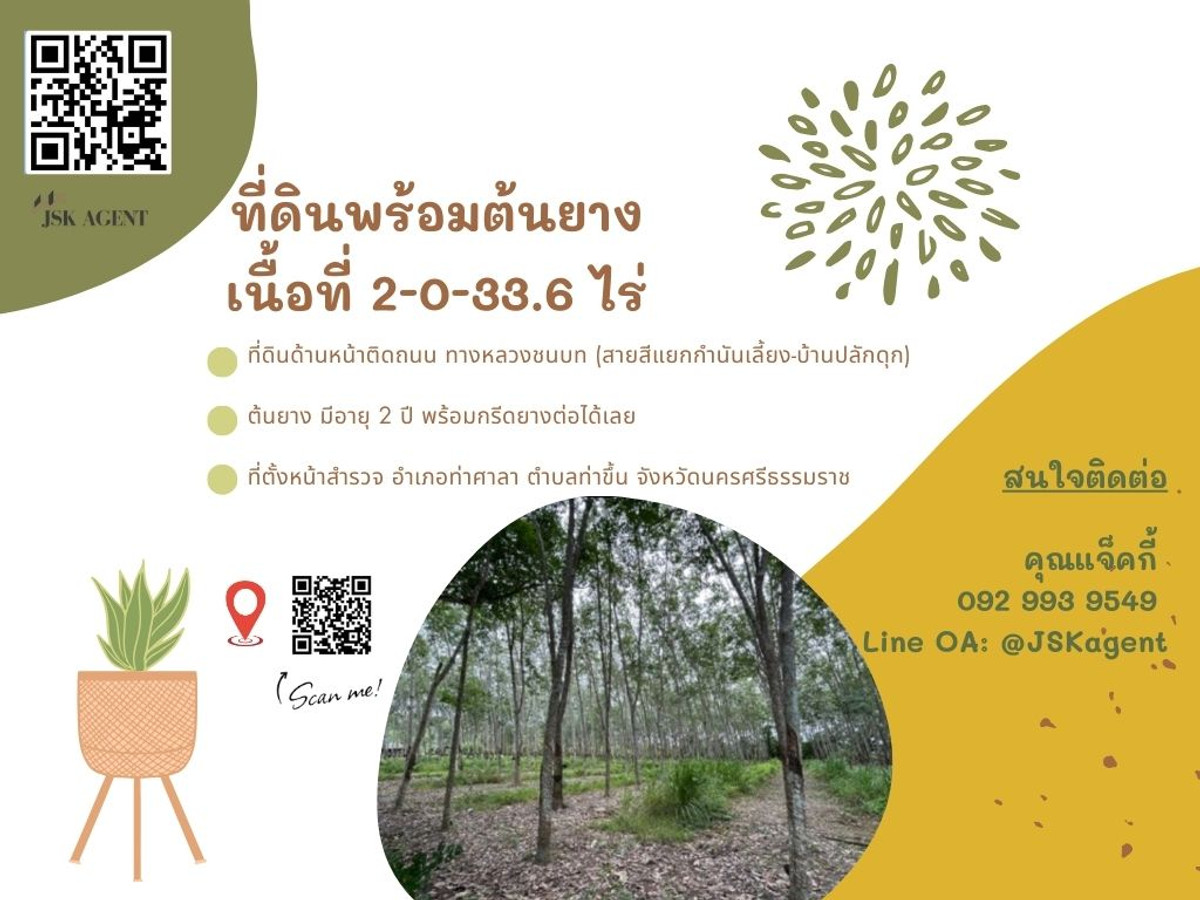 ขายที่ดินนครศรีธรรมราช : 🔥 ขายที่ดินสวย ทำเลดี อ.ท่าศาลา นครศรีธรรมราช 🔥