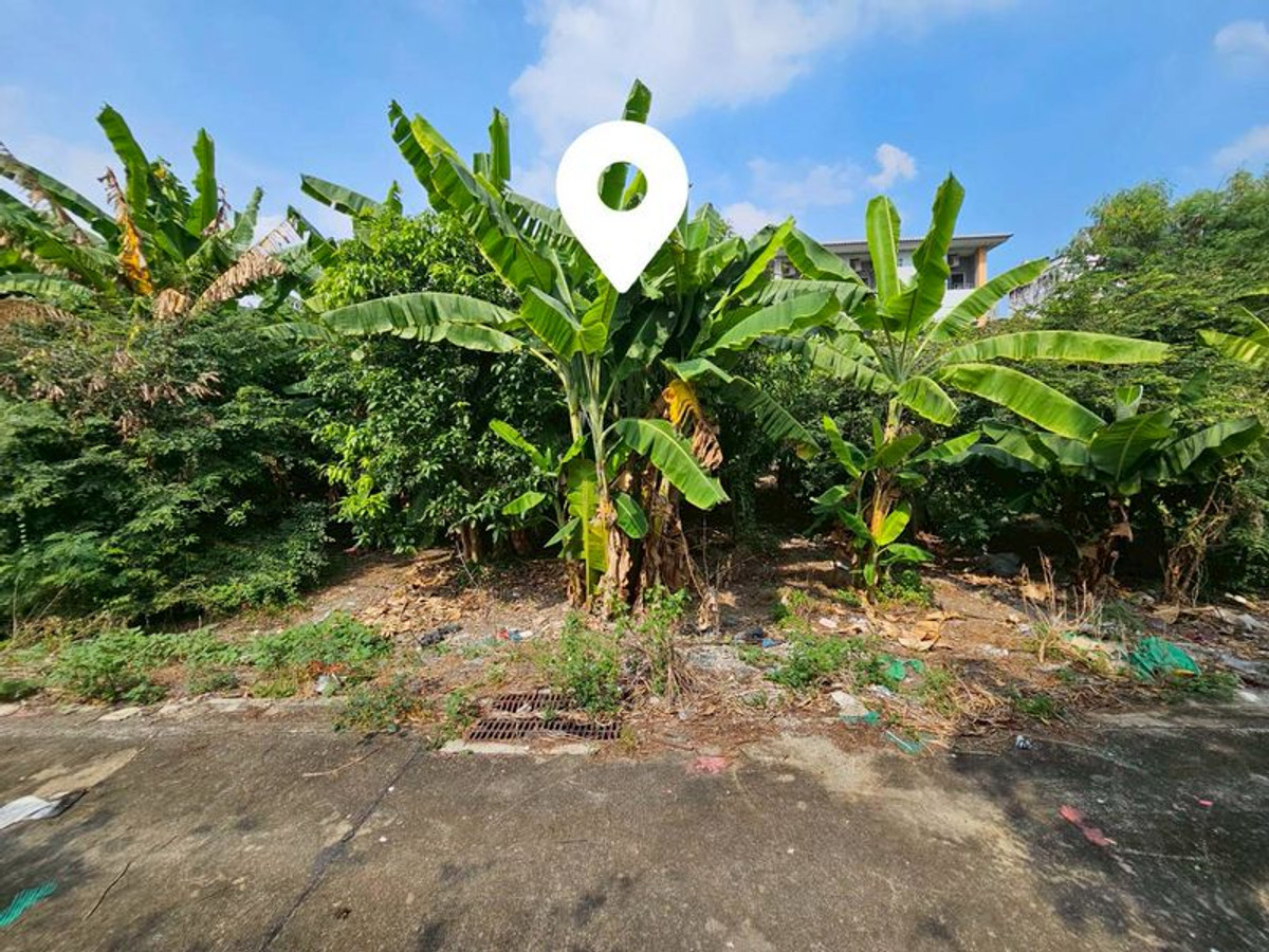 ขายที่ดินบางแค เพชรเกษม : ขาย ที่ดินเปล่า 205 ตารางวา ถมแล้ว ถนนบางบอน 5 สายเดิม ตรงข้ามศาลเจ้าจีน เจ้าแม่กวนอิม แขวงหนองแขม เขตหนองแขม กรุงเทพมหานคร