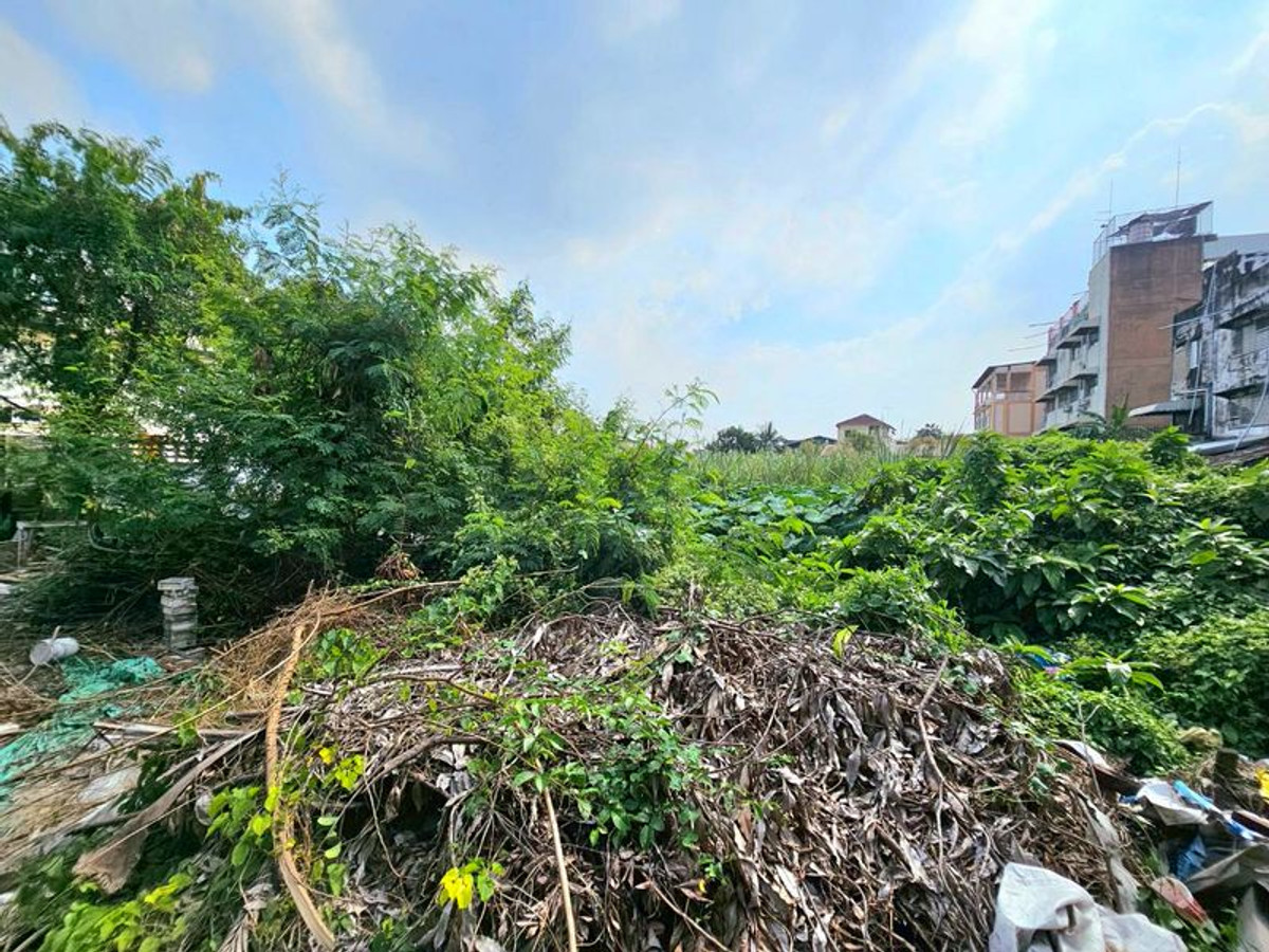 ขายที่ดินบางแค เพชรเกษม : ขาย ที่ดินเปล่า 100 ตารางวา ถนนบางบอน 5 สายเดิม ตรงข้ามศาลเจ้าจีน เจ้าแม่กวนอิม แขวงหนองแขม เขตหนองแขม กรุงเทพมหานคร