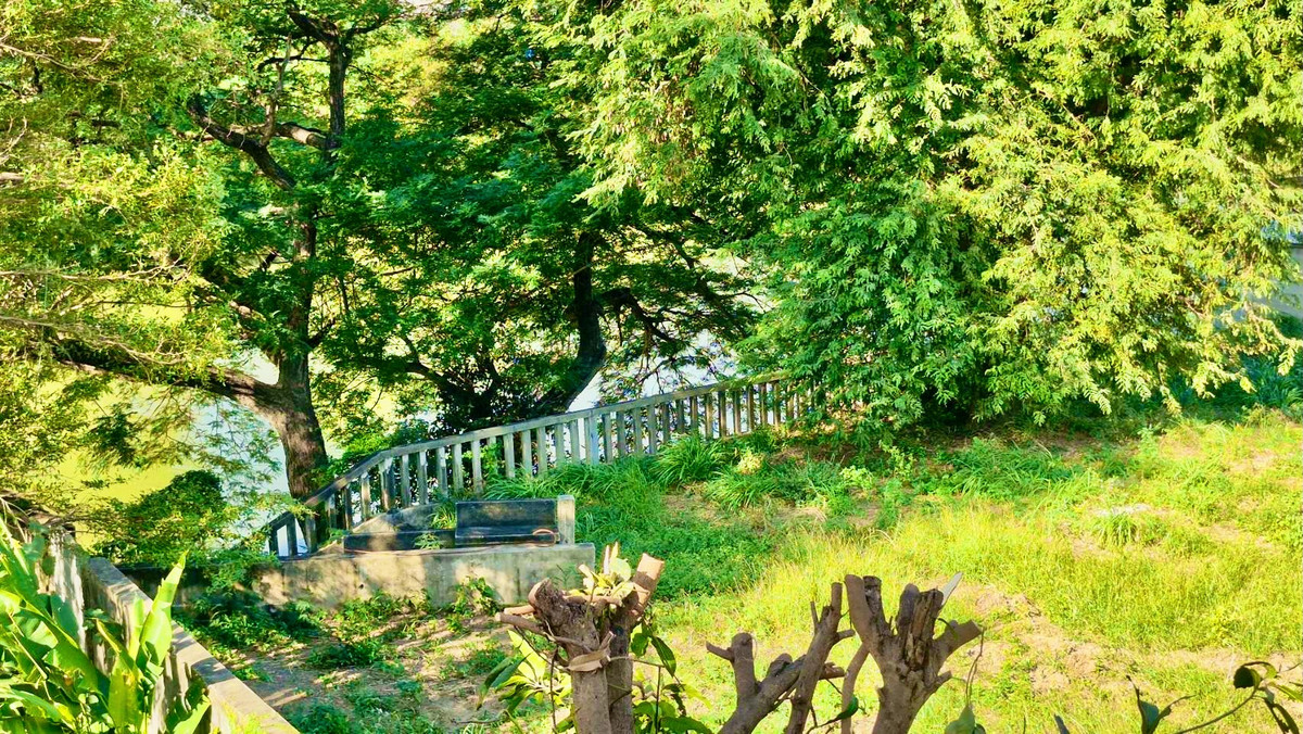 ขายที่ดินสระบุรี : ขายที่ดิน 1-2-31 ไร่ ริมแม่น้ำป่าสัก อ.เมือง สระบุรี