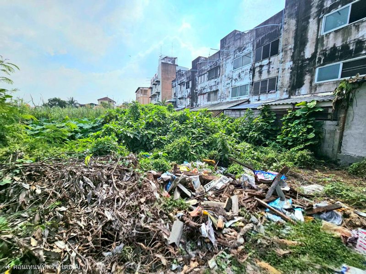 ขายที่ดินบางแค เพชรเกษม : ขาย ที่ดินเปล่า 100 ตารางวา ถนนบางบอน 5 สายเดิม ตรงข้ามศาลเจ้าจีน เจ้าแม่กวนอิม แขวงหนองแขม เขตหนองแขม กรุงเทพมหานคร