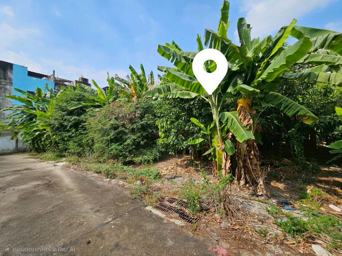 ขายที่ดินบางแค เพชรเกษม : ขาย ที่ดินเปล่า 205 ตารางวา ถมแล้ว ถนนบางบอน 5 สายเดิม ตรงข้ามศาลเจ้าจีน เจ้าแม่กวนอิม แขวงหนองแขม เขตหนองแขม กรุงเทพมหานคร