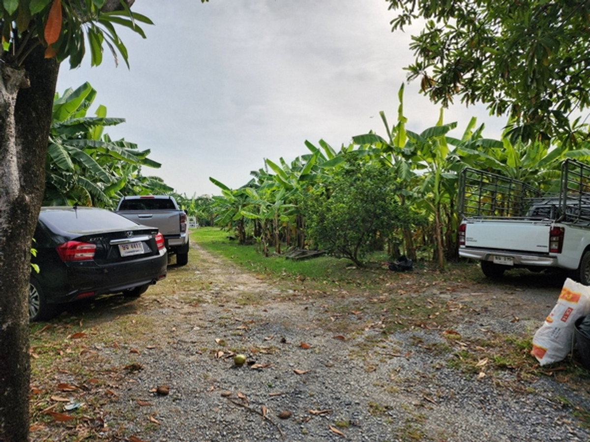 For RentLandBang kae, Phetkasem : Land for rent, size 2-1-07 rai, corner plot, Kanchanaphisek Soi 4, only 100 meters into the alley, width 48 meters, near The Mall Bang Khae, MRT Lak Song.