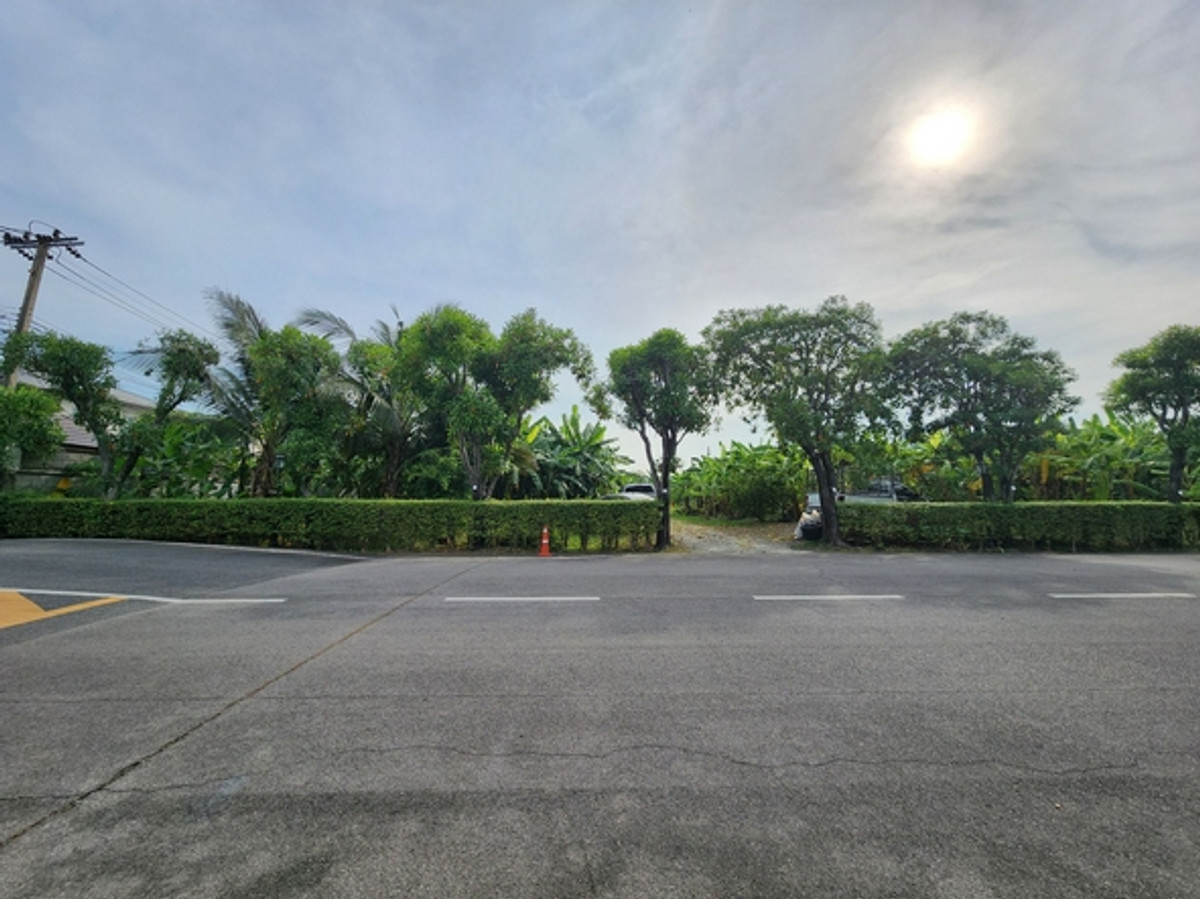 For RentLandBang kae, Phetkasem : Land for rent, size 2-1-07 rai, corner plot, Kanchanaphisek Soi 4, only 100 meters into the alley, width 48 meters, near The Mall Bang Khae, MRT Lak Song.