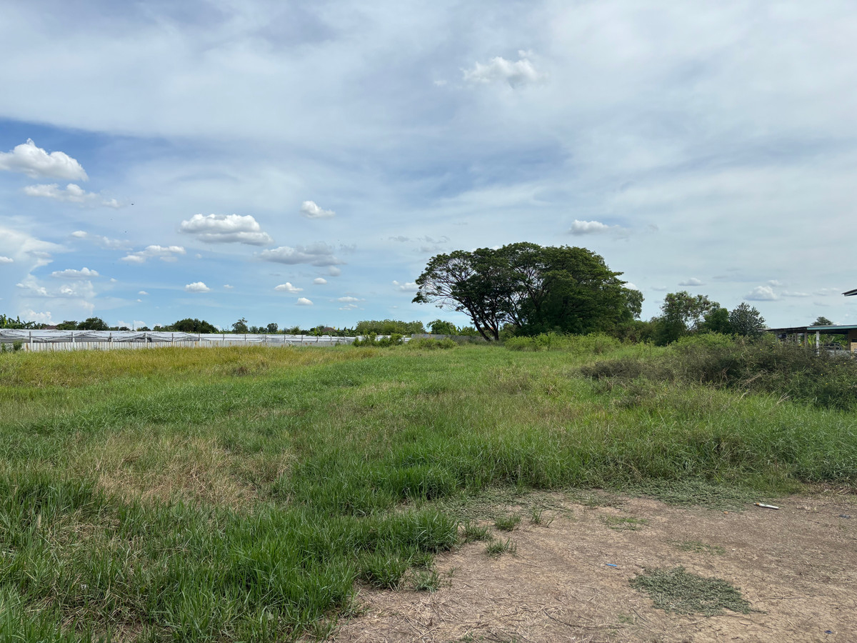 For RentLandRama5, Ratchapruek, Bangkruai : Land for rent near Prai Fa intersection New Ratchaphruek Road 345 and 346 are in the road cutting into Pathum Thani city.