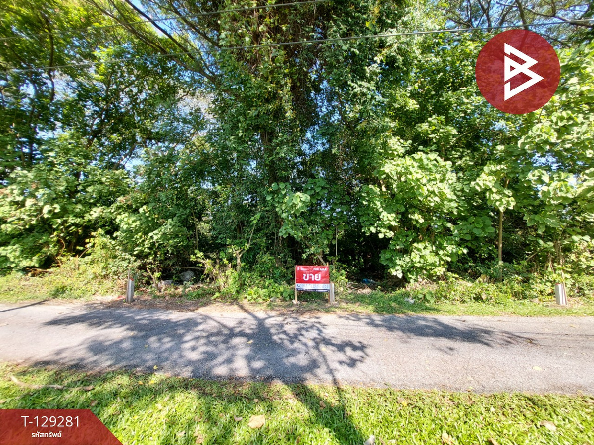 ขายที่ดินนครศรีธรรมราช : ขายที่ดิน เนื้อที่ 39.2 ตร.วา คลัง นครศรีธรรมราช