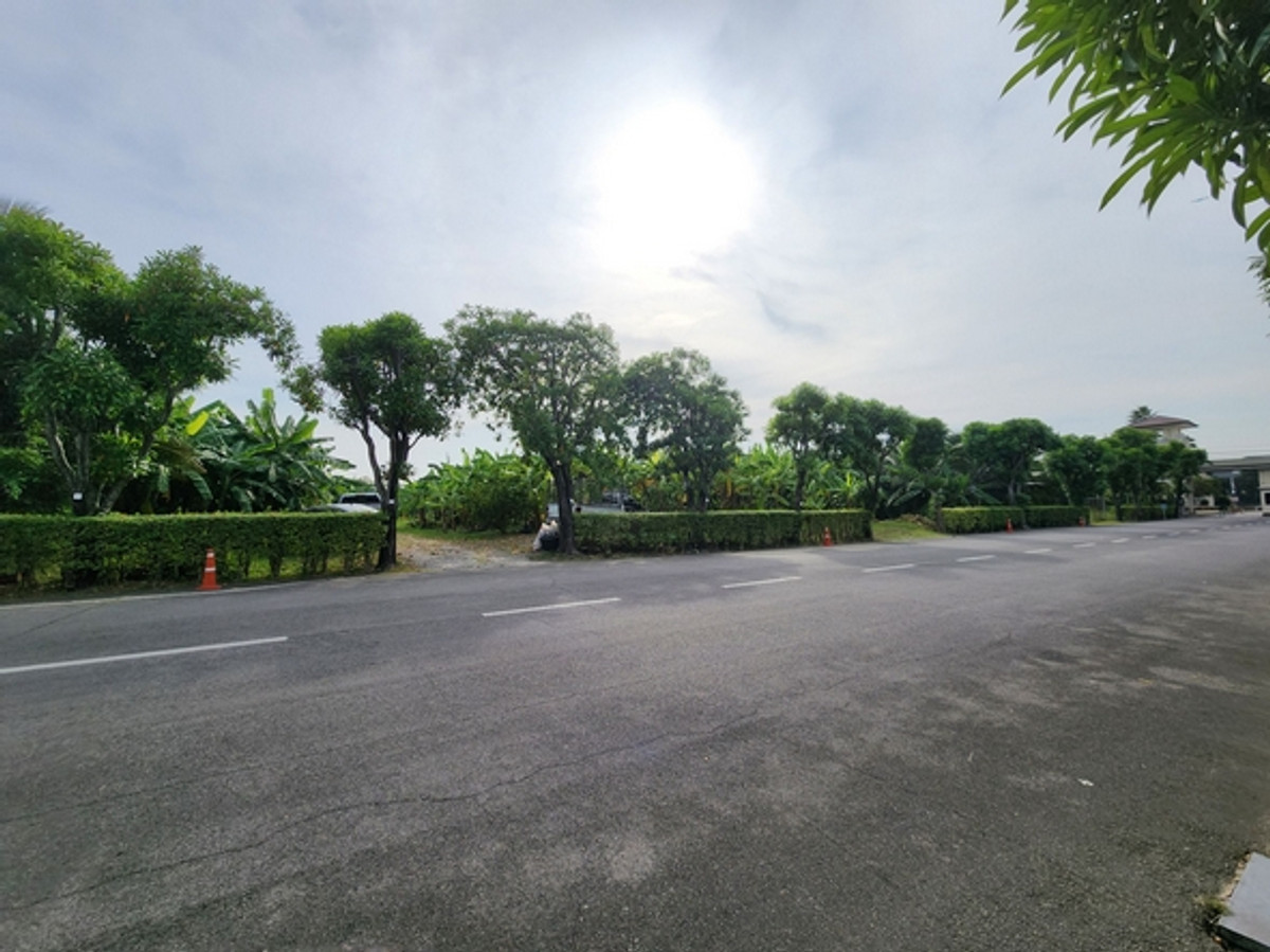 For RentLandBang kae, Phetkasem : Land for rent, size 2-1-07 rai, corner plot, Kanchanaphisek Soi 4, only 100 meters into the alley, width 48 meters, near The Mall Bang Khae, MRT Lak Song.