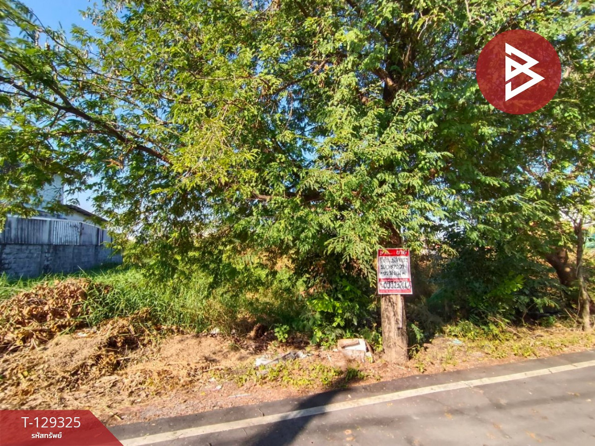 ขายที่ดินปทุมธานี รังสิต ธรรมศาสตร์ : ขายที่ดินเปล่า เนื้อที่ 100 ตารางวา ซอยร่วมสุข 5/18 บ้านใหม่ ปทุมธานี