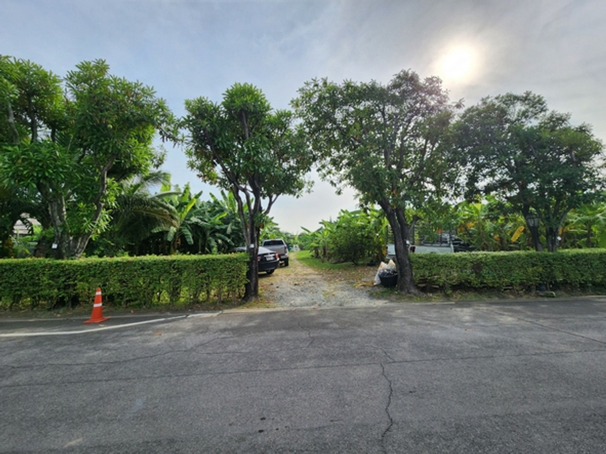 ให้เช่าที่ดินบางแค เพชรเกษม : ที่ดินให้เช่า ขนาด 2-1-07 ไร่ แปลงมุม กาญจนาภิเษก ซอย 4 เข้าซอยเพียง 100 เมตร หน้ากว้าง 48 เมตร ใกล้เดอะมอลล์บางแค MRT หลักสอง