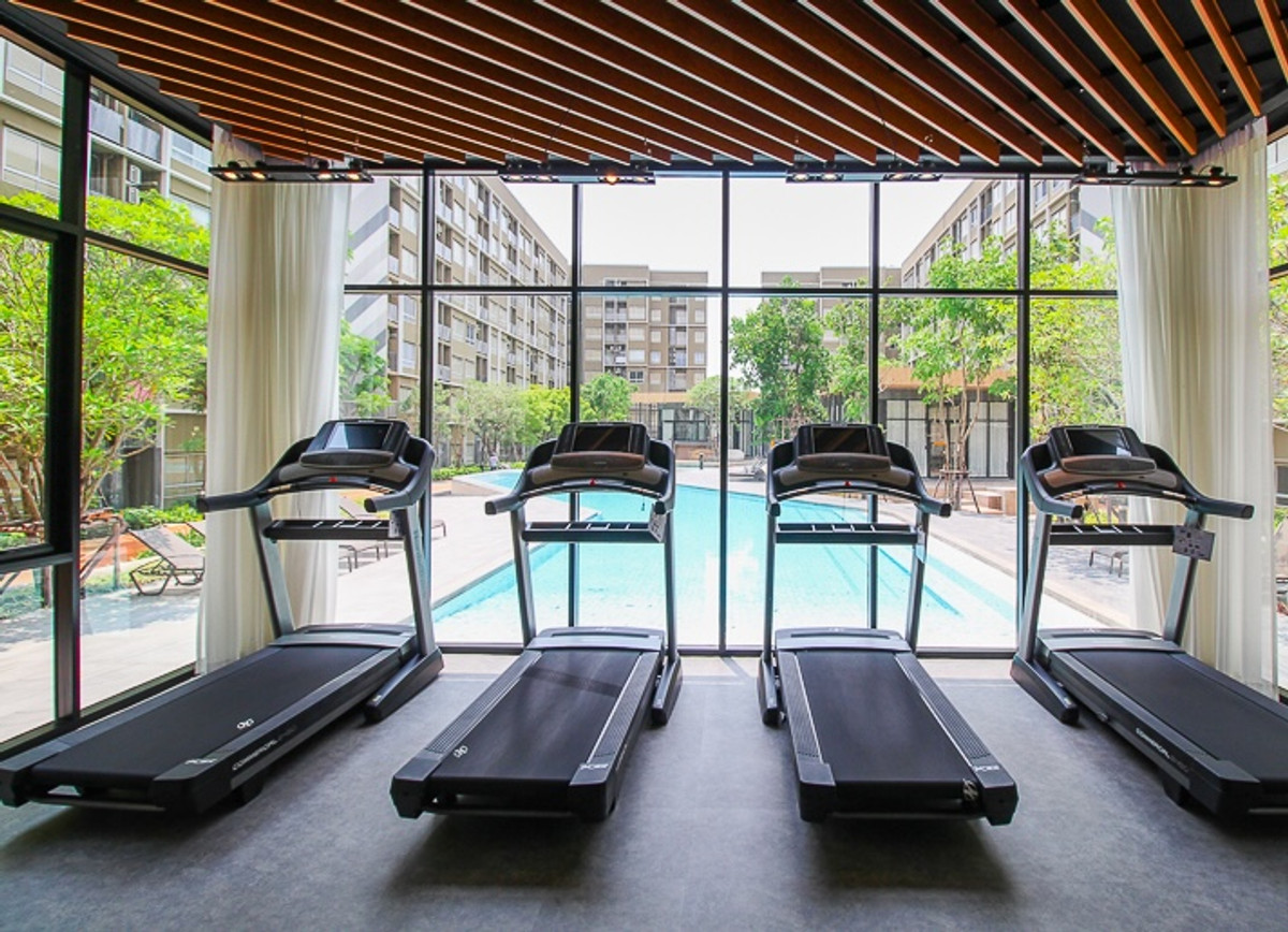 ให้เช่าคอนโดปทุมธานี รังสิต ธรรมศาสตร์ : ✅ ว่าง! พร้อมเข้าอยู่ Plum ALIVE 1 🌟 ค่าเช่าถูก! 7,500 บาท/เดือน 🛏 1 ห้องนอน 1 ห้องน้ำ 📏 26 ตร.ม. 🏙️ ตึก D ชั้น 2-3 เลขที่ห้องดี 94/XXX ! 🚫 ไม่รับ Co-Agent