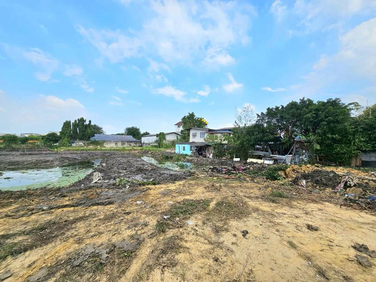 ขายที่ดินบางแค เพชรเกษม : ขาย ที่ดิน 5 ไร่ 1 งาน 12 ตารางวา ติดถนนบางบอน 5 สายเดิม ติดโรงเรียนสารสาสน์วิเทศหนองแขม แขวงหนองแขม เขตหนองแขม กรุงเทพมหานคร