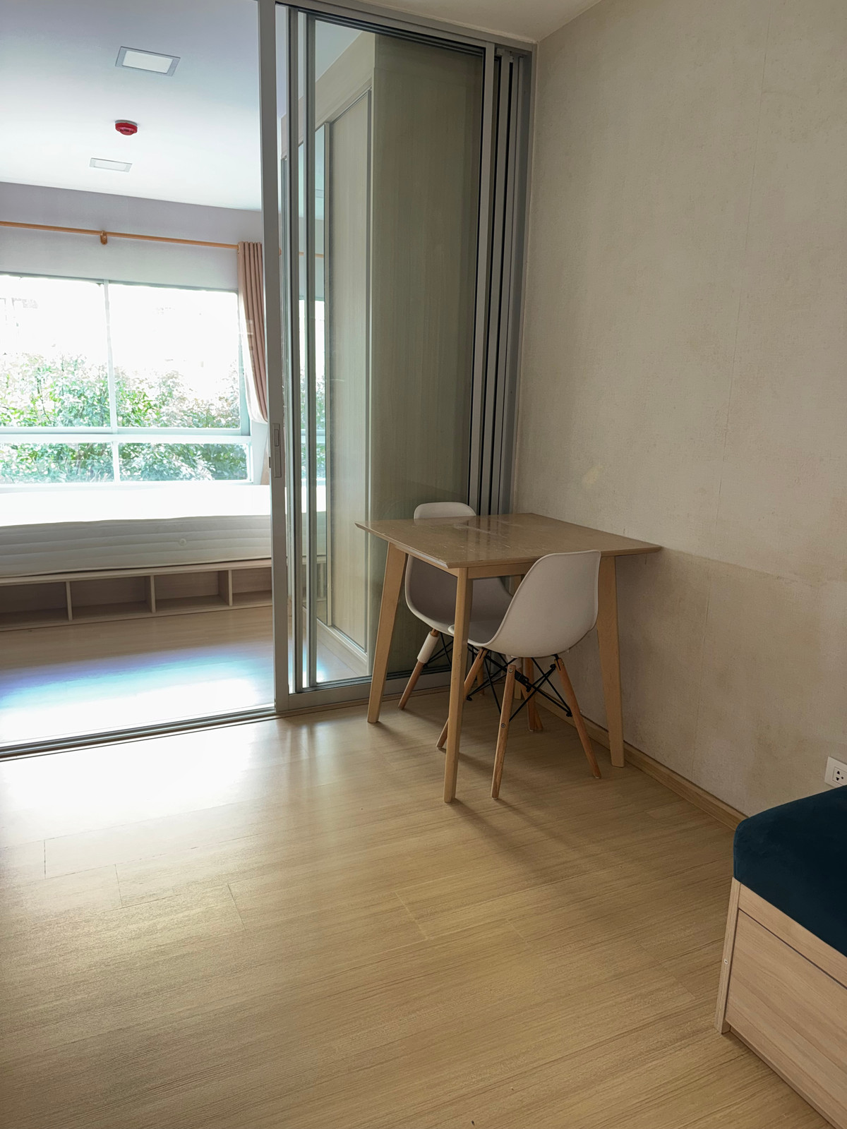 ให้เช่าคอนโดปทุมธานี รังสิต ธรรมศาสตร์ : ✅ ว่าง! พร้อมเข้าอยู่ Plum ALIVE 1 🌟 ค่าเช่าถูก! 7,500 บาท/เดือน 🛏 1 ห้องนอน 1 ห้องน้ำ 📏 26 ตร.ม. 🏙️ ตึก D ชั้น 2-3 เลขที่ห้องดี 94/XXX ! 🚫 ไม่รับ Co-Agent