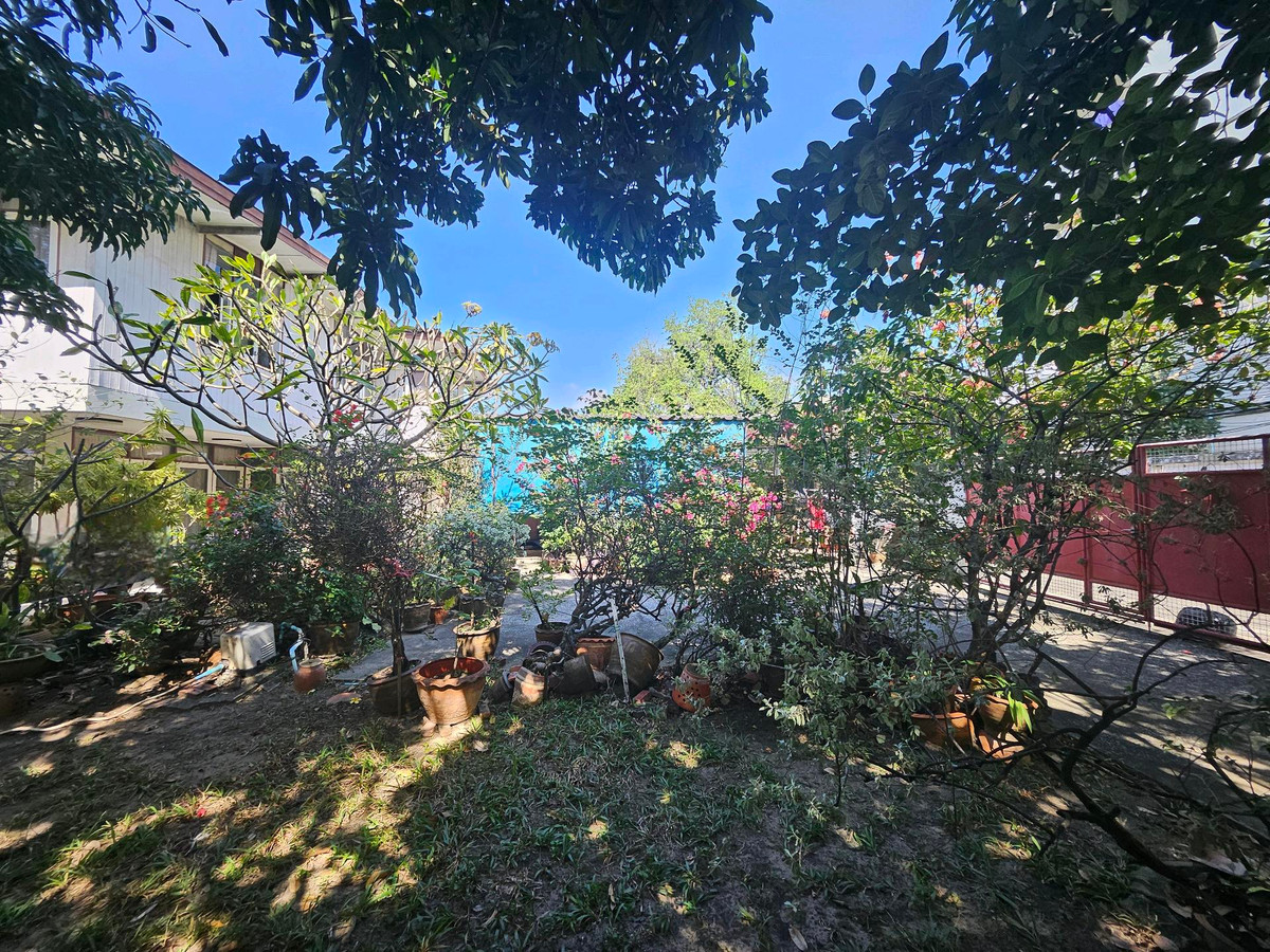 ขายที่ดินพระราม 8 สามเสน ราชวัตร : ขายที่ดินพร้อมสิ่งปลูกสร้างทำเลหายาก ย่านสามเสน – ซอยองครักษ์ เงียบสงบ เป็นส่วนตัว ใจกลางเมืองชั้นใน