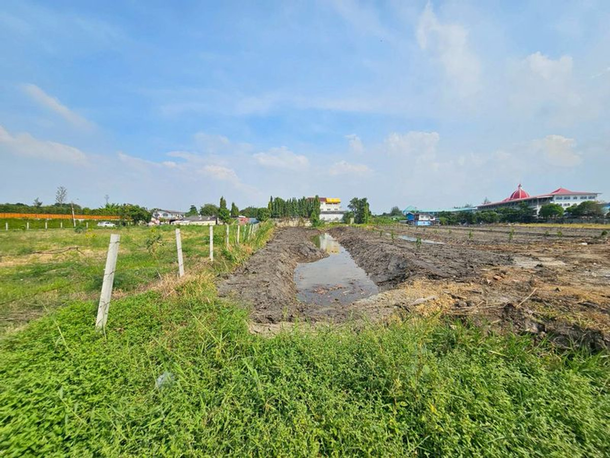 ขายที่ดินบางแค เพชรเกษม : ขาย ที่ดิน 5 ไร่ 1 งาน 12 ตารางวา ติดถนนบางบอน 5 สายเดิม ติดโรงเรียนสารสาสน์วิเทศหนองแขม แขวงหนองแขม เขตหนองแขม กรุงเทพมหานคร