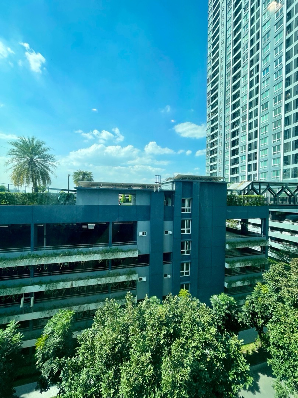 For RentCondoSamut Prakan,Samrong : For rent: The Metropolis Samrong Interchange, garden view, west/south.