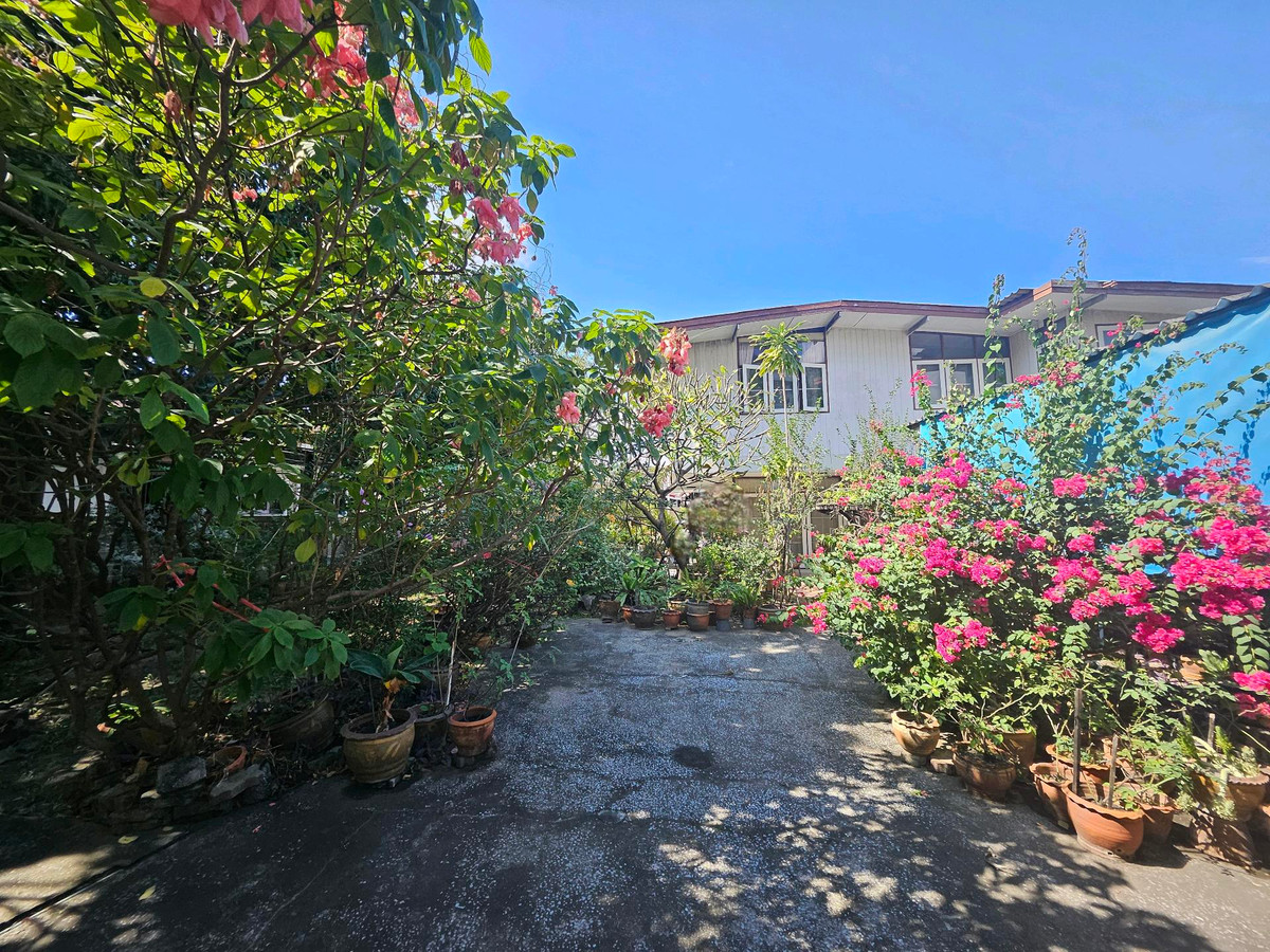 ขายที่ดินพระราม 8 สามเสน ราชวัตร : ขายที่ดินพร้อมสิ่งปลูกสร้างทำเลหายาก ย่านสามเสน – ซอยองครักษ์ เงียบสงบ เป็นส่วนตัว ใจกลางเมืองชั้นใน