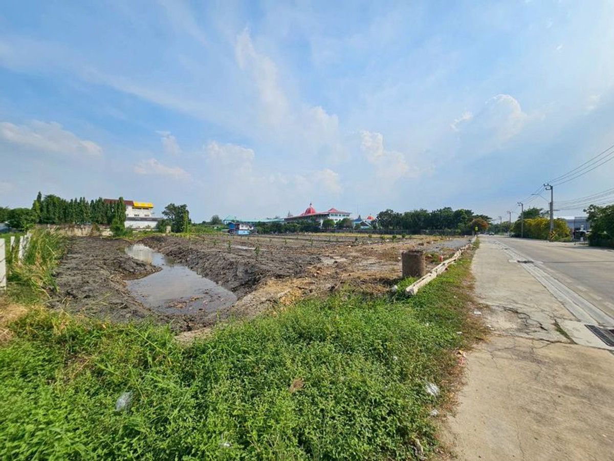 ขายที่ดินบางแค เพชรเกษม : ขาย ที่ดิน 5 ไร่ 1 งาน 12 ตารางวา ติดถนนบางบอน 5 สายเดิม ติดโรงเรียนสารสาสน์วิเทศหนองแขม แขวงหนองแขม เขตหนองแขม กรุงเทพมหานคร