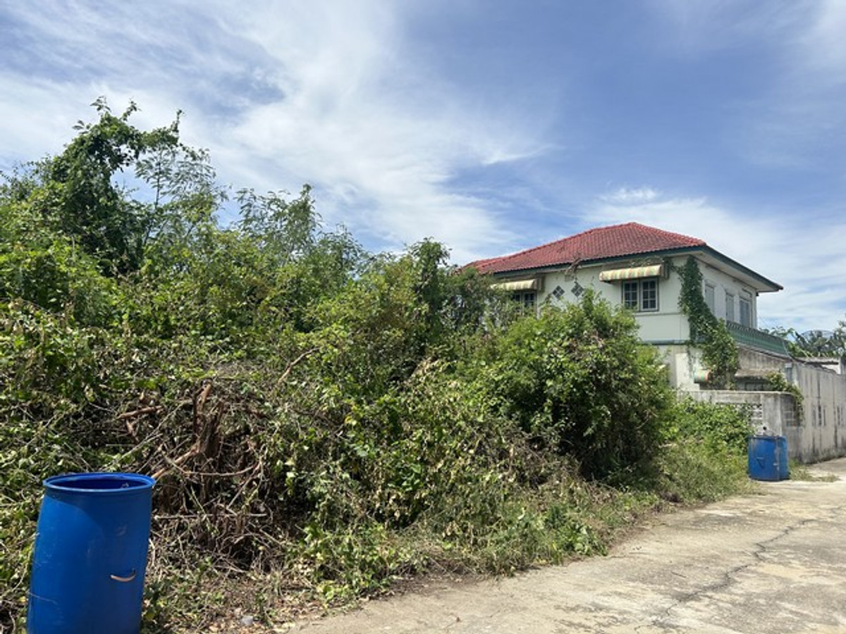 ขายที่ดินพุทธมณฑล ศาลายา : ขายที่ดินเปล่า 140 ตร.ว หมู่บ้านกำแพงแสนกรีนแลนด์ นครปฐม ใกล้รพ.อินเตอร์กำแพงแสน