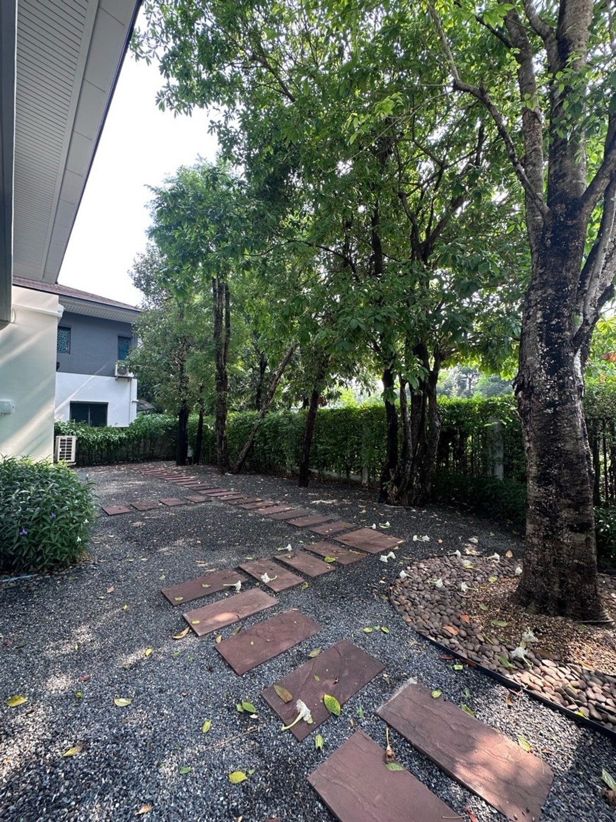 For RentHousePattanakan, Srinakarin : 💎 稀有大户型别墅！6卧5卫 + 多功能房 + 独立佣人房
距离 Brighton 国际学校仅 1 分钟，月租仅 220,000 泰铢

🌟 一次看房，看遍整个项目！同项目及周边区域还有多套房源可选 🌟

📌 可立即入住