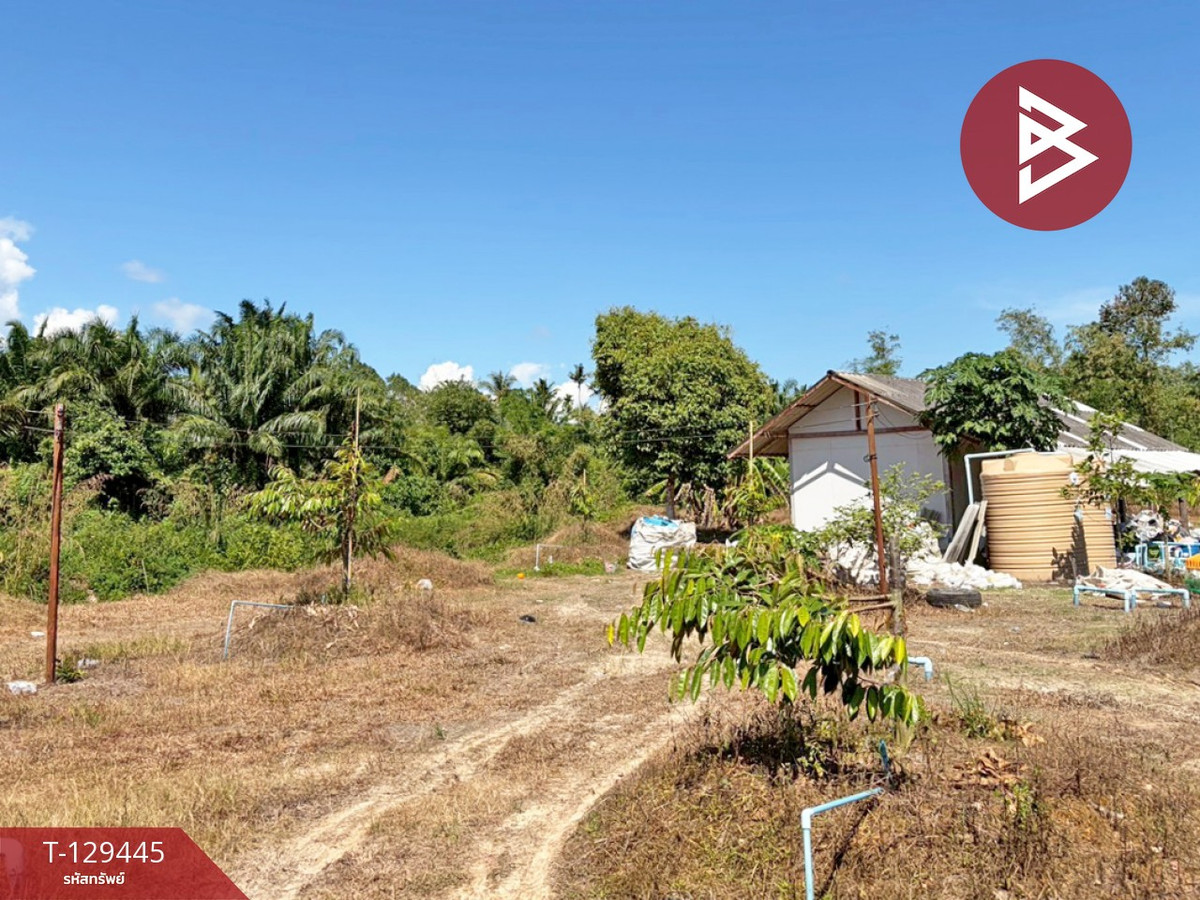ขายที่ดินนครศรีธรรมราช : ขายด่วนที่ดินพร้อมสวนทุเรียน เนื้อที่ 9 ไร่ 3 งาน 56 ตารางวา สิชล นครศรีธรรมราช