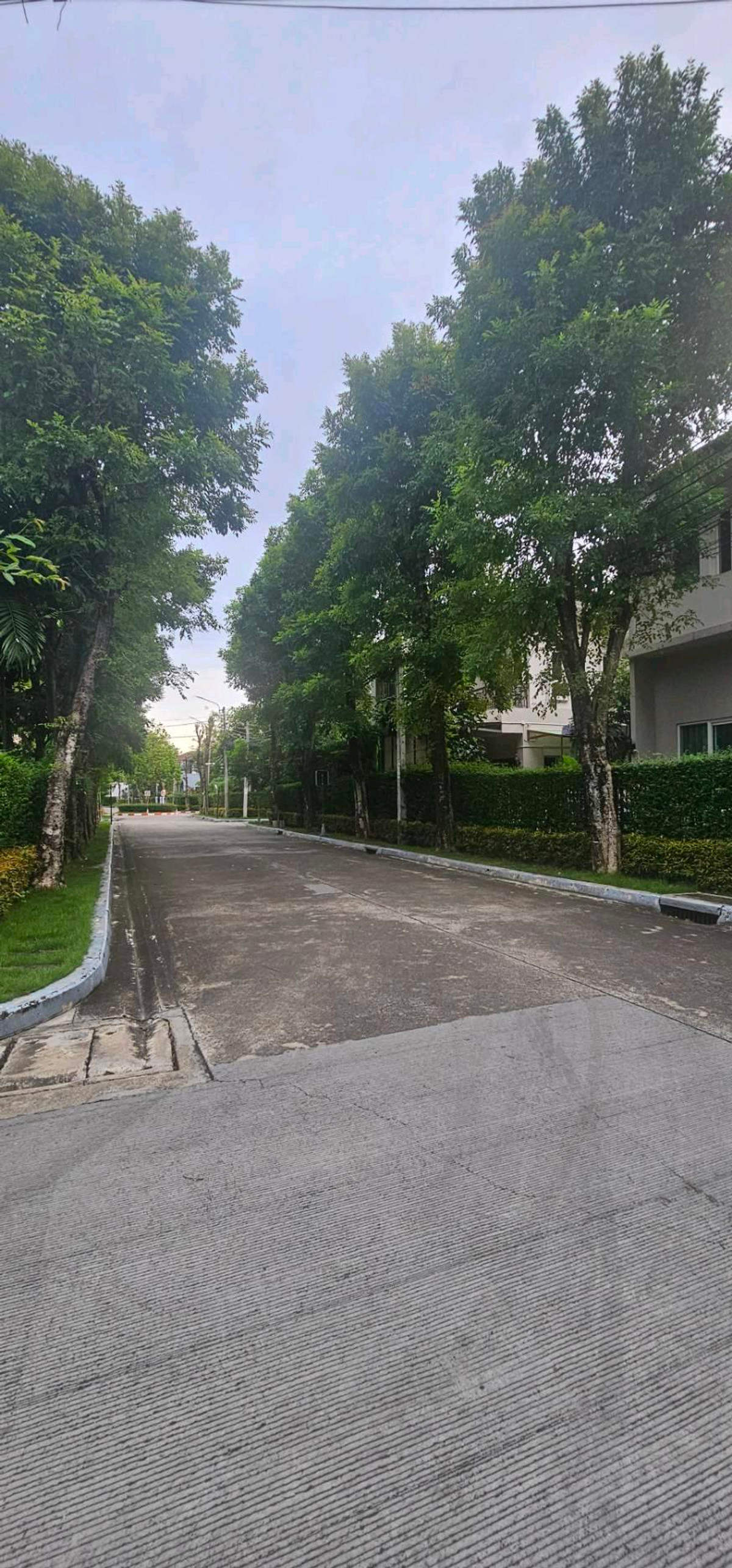 ขายบ้านบางแค เพชรเกษม : ขายถูกบ้านเดี่ยว 90 ตร.วา หลังมุมใกล้ รพ.ศิริราช The City ราชพฤกษ์-จรัญ13 หลังใหญ่ ราคาคุ้มมาก