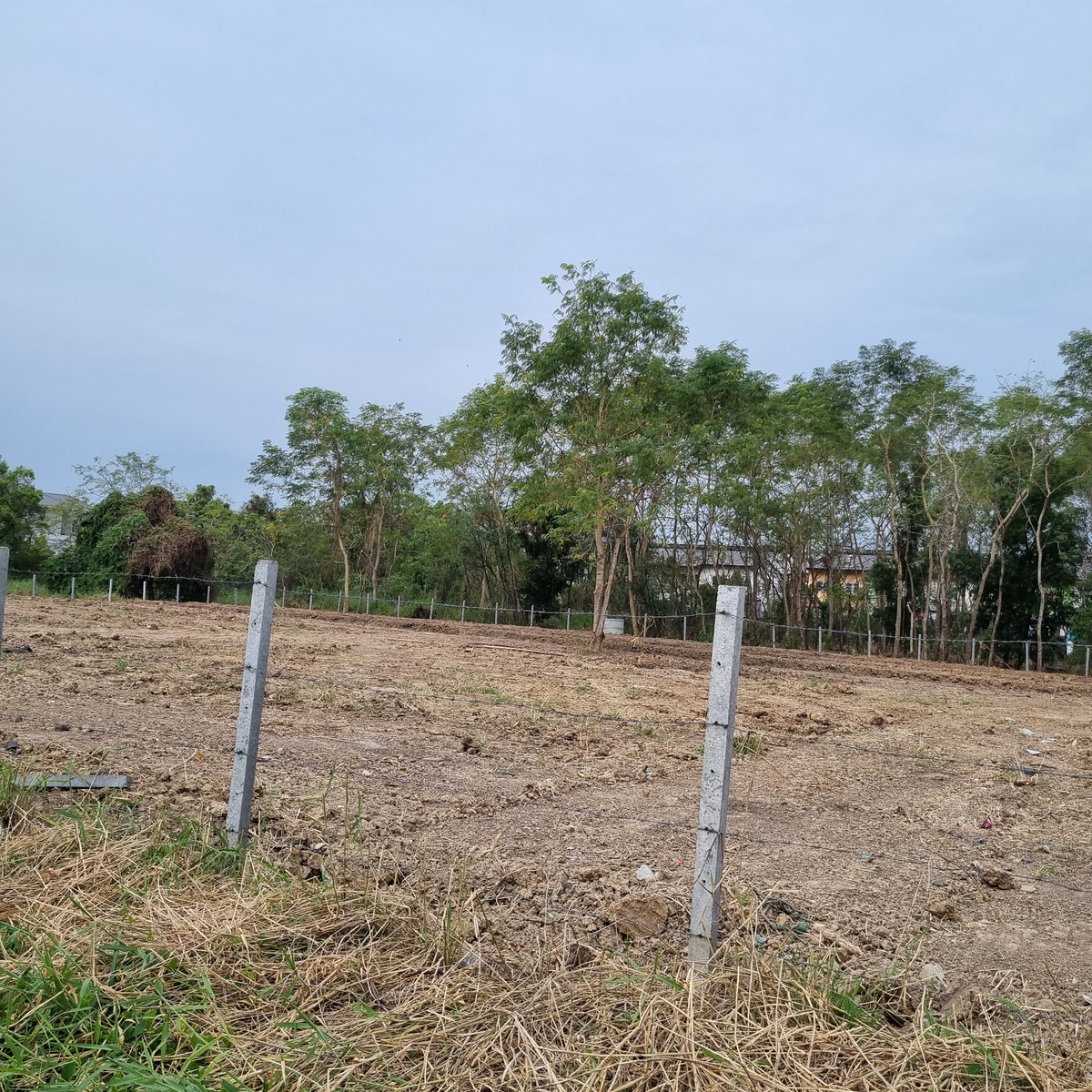 ที่ดินปทุมธานี รังสิต ธรรมศาสตร์ : [ขาย/เช่า] ที่ดิน 2ไร่ 1งาน ใกล้ BTS คูคต ซอยลำลูกกา 25 ถมแล้วพร้อมใช้งาน