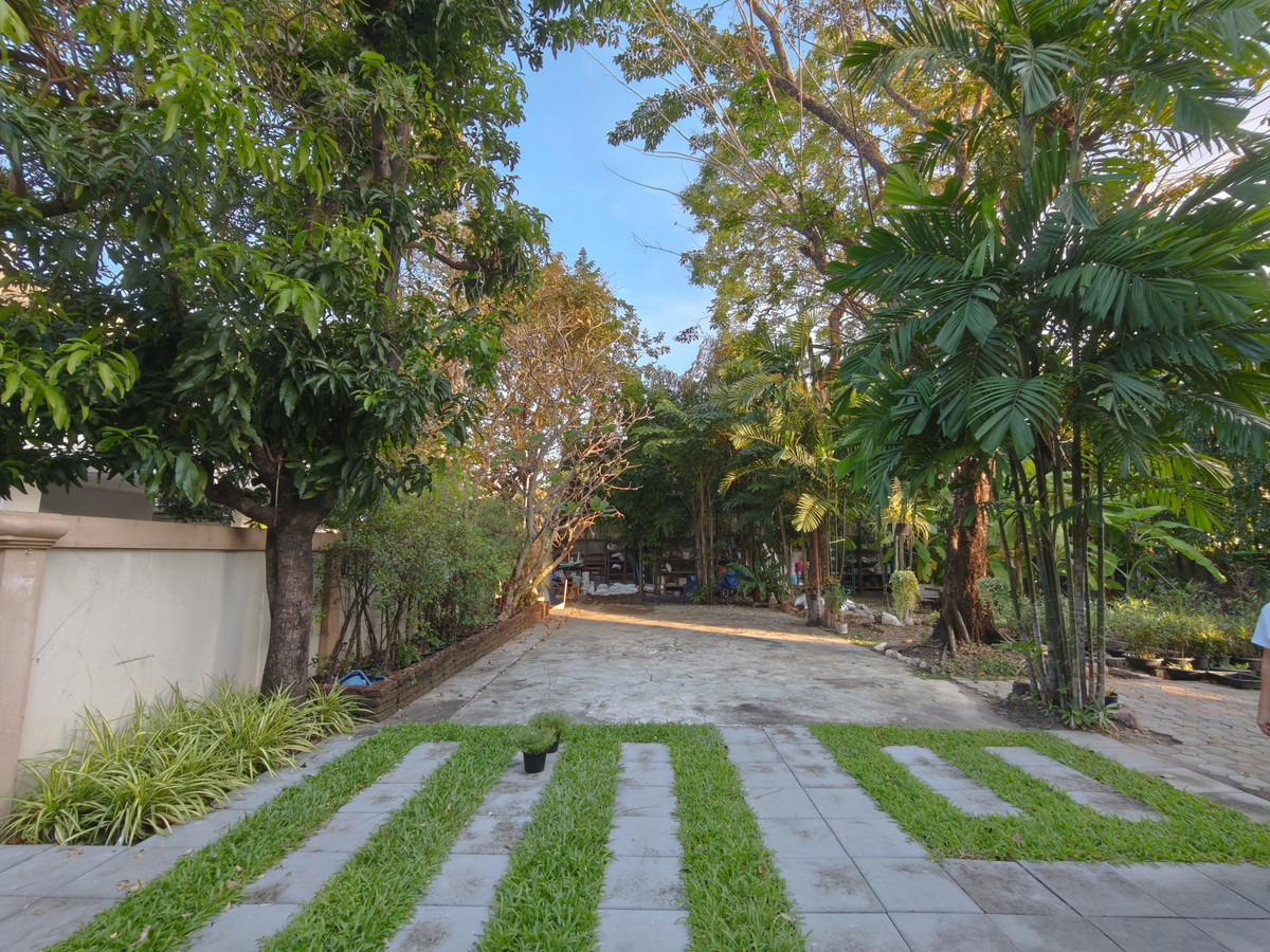 ขายที่ดินพัฒนาการ ศรีนครินทร์ : ขาย ที่ดินเปล่า  90 วา  หมู่บ้านผกามาศ ปรีดีพนมยงค์ ซอย 14 | สุขุมวิท 71 | เขตสวนหลวง